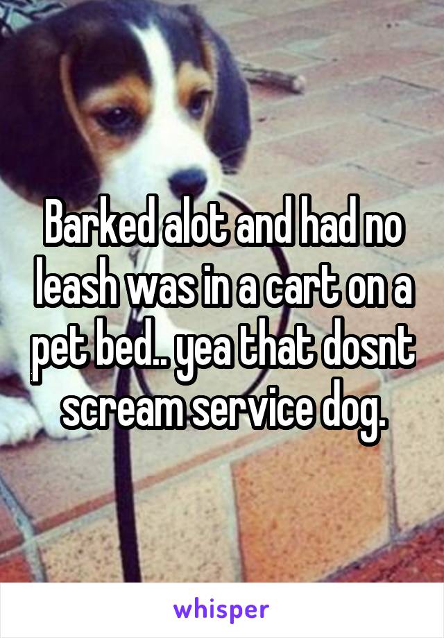 Barked alot and had no leash was in a cart on a pet bed.. yea that dosnt scream service dog.