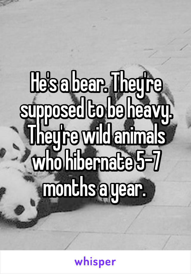 He's a bear. They're supposed to be heavy. They're wild animals who hibernate 5-7 months a year. 