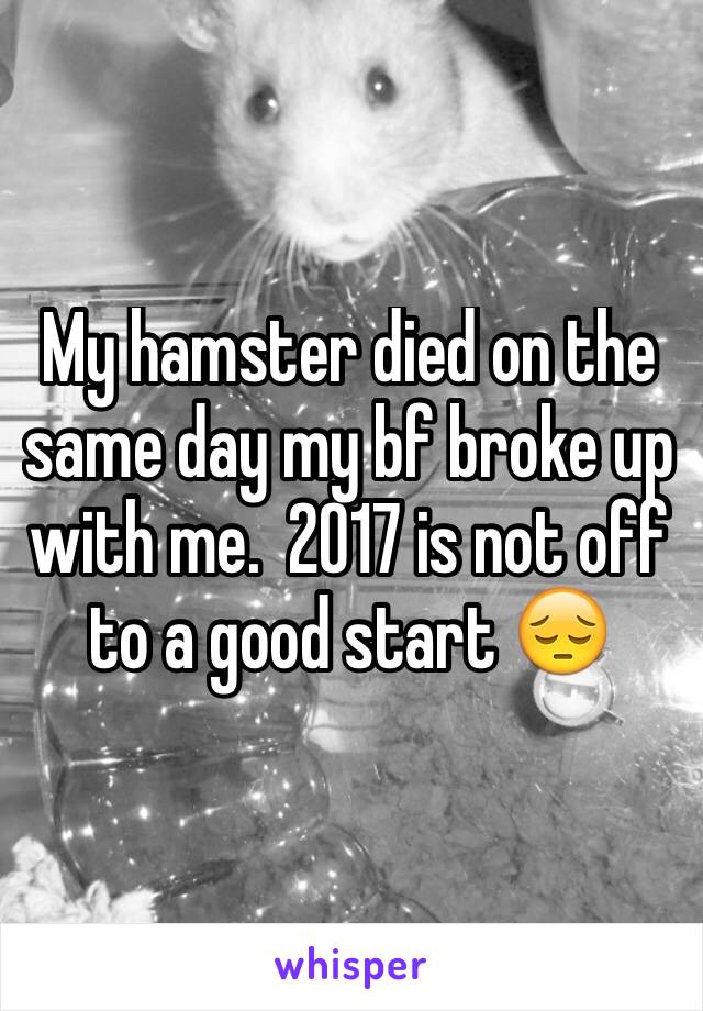 My hamster died on the same day my bf broke up with me.  2017 is not off to a good start 😔