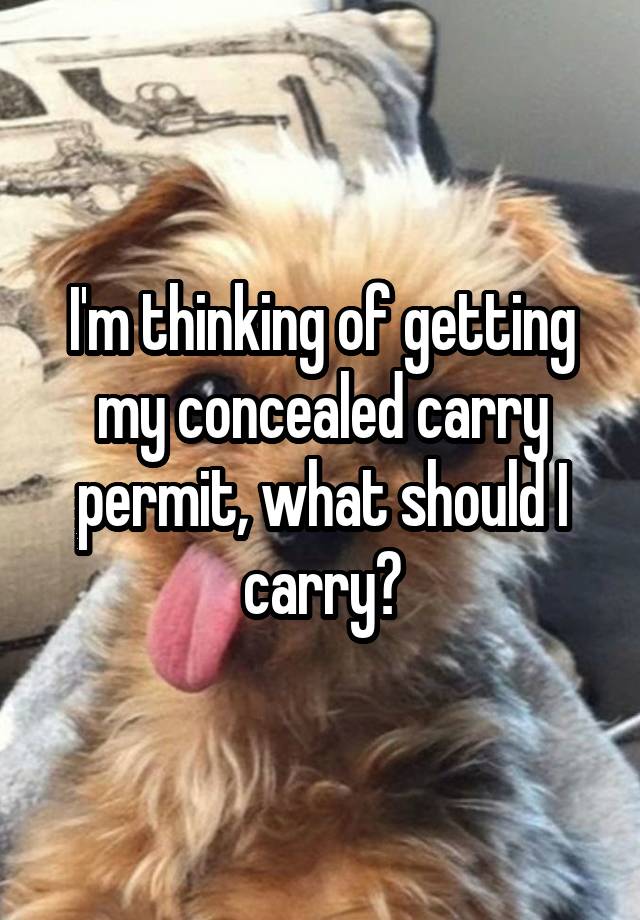 I'm thinking of getting my concealed carry permit, what should I carry?