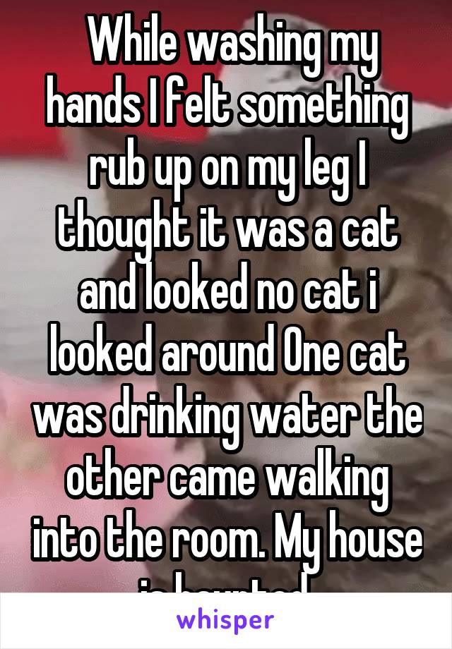  While washing my hands I felt something rub up on my leg I thought it was a cat and looked no cat i looked around One cat was drinking water the other came walking into the room. My house is haunted.