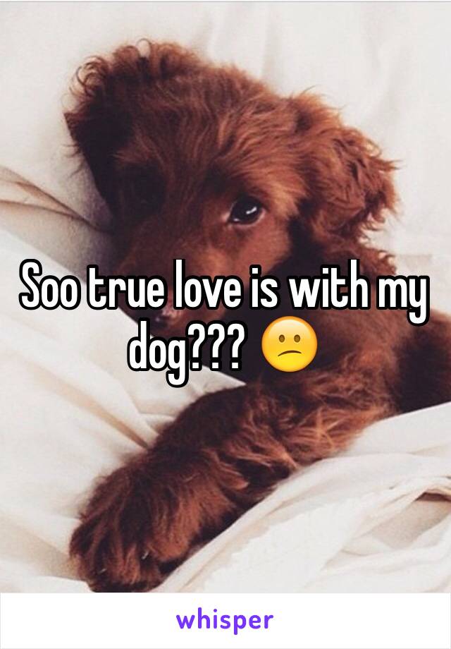 Soo true love is with my dog??? 😕