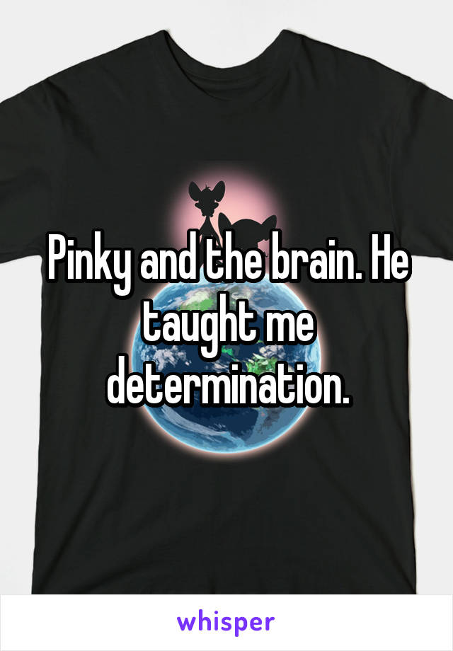 Pinky and the brain. He taught me determination.