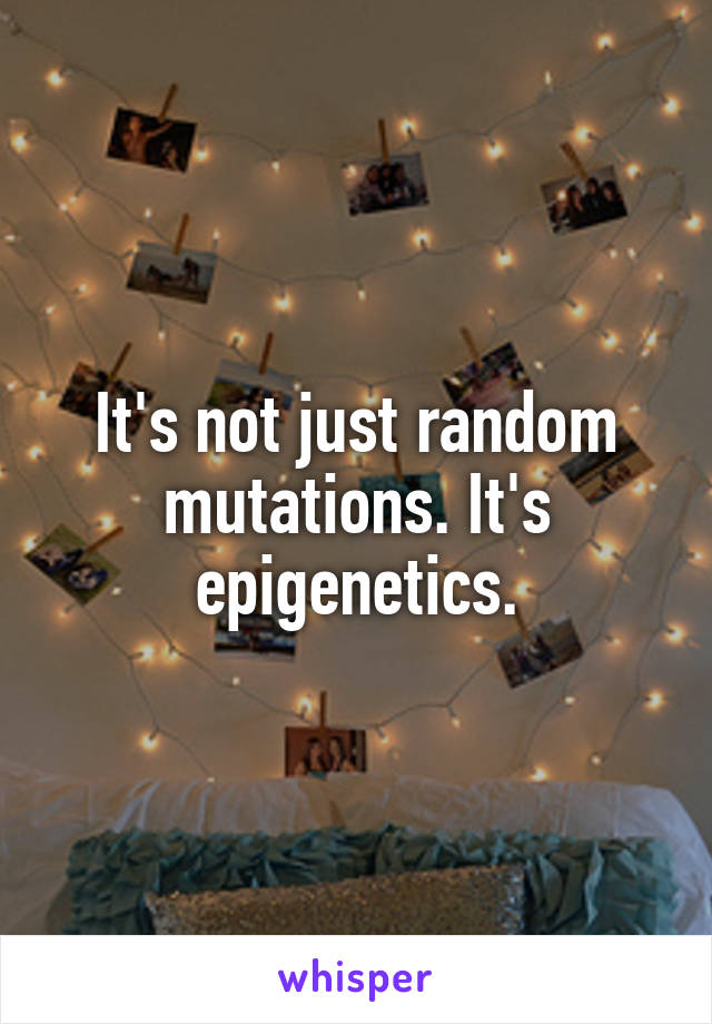 It's not just random mutations. It's epigenetics.