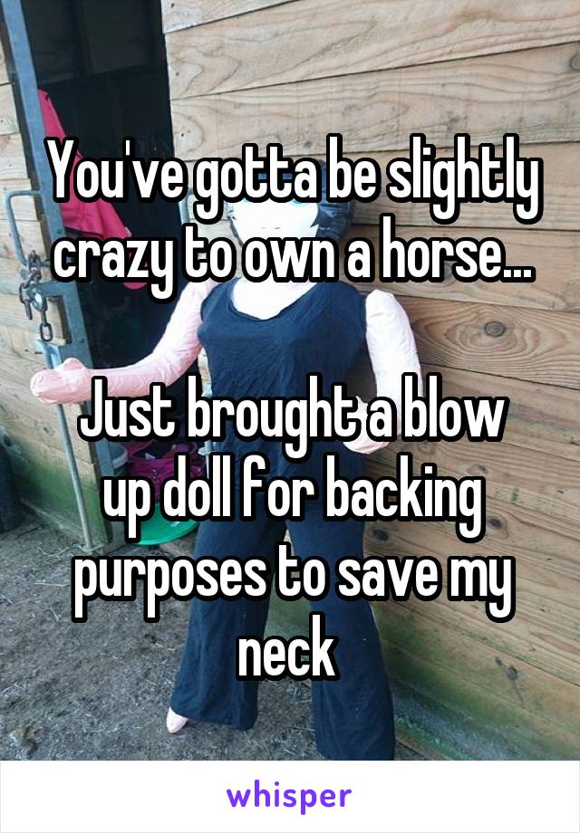 You've gotta be slightly crazy to own a horse...

Just brought a blow up doll for backing purposes to save my neck 