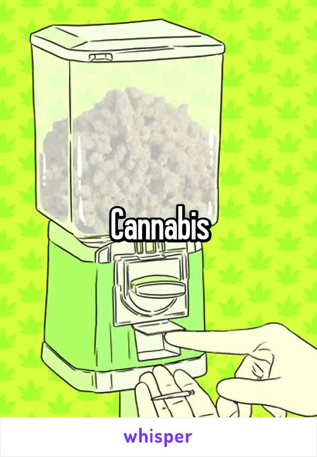 Cannabis