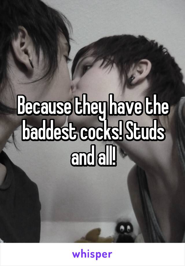 Because they have the baddest cocks! Studs and all!