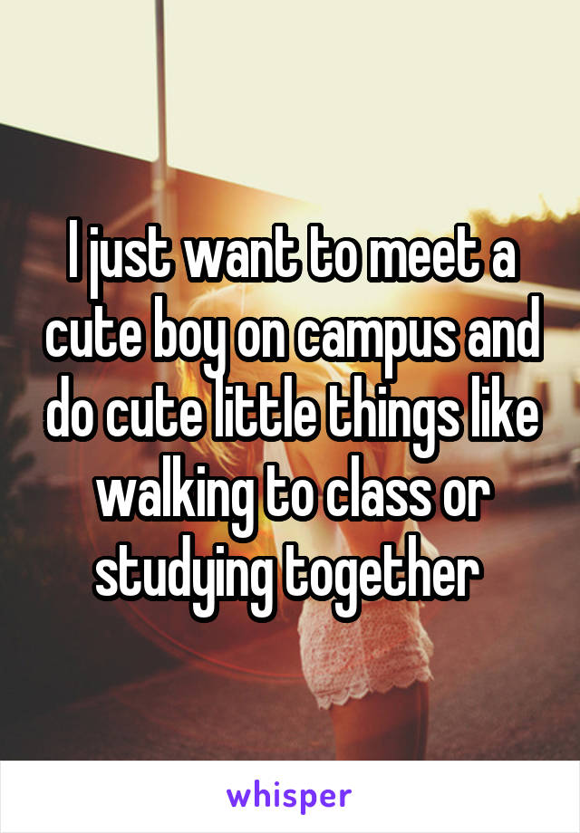 I just want to meet a cute boy on campus and do cute little things like walking to class or studying together 