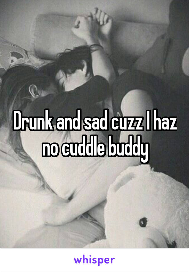 Drunk and sad cuzz I haz no cuddle buddy