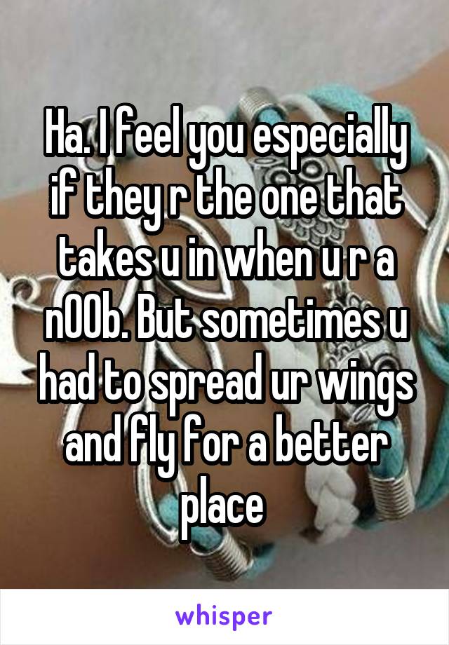 Ha. I feel you especially if they r the one that takes u in when u r a n00b. But sometimes u had to spread ur wings and fly for a better place 
