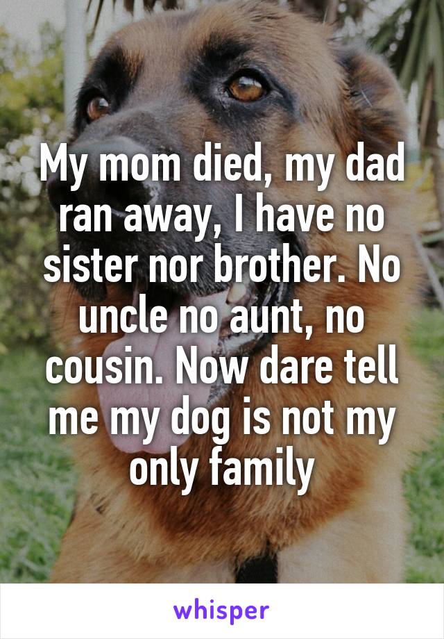 My mom died, my dad ran away, I have no sister nor brother. No uncle no aunt, no cousin. Now dare tell me my dog is not my only family