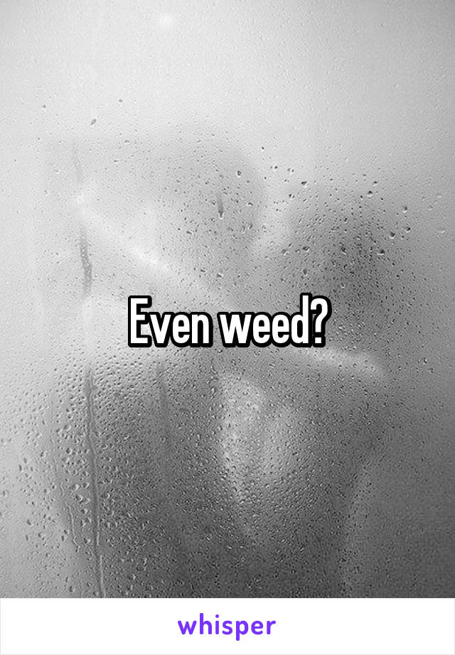 Even weed?