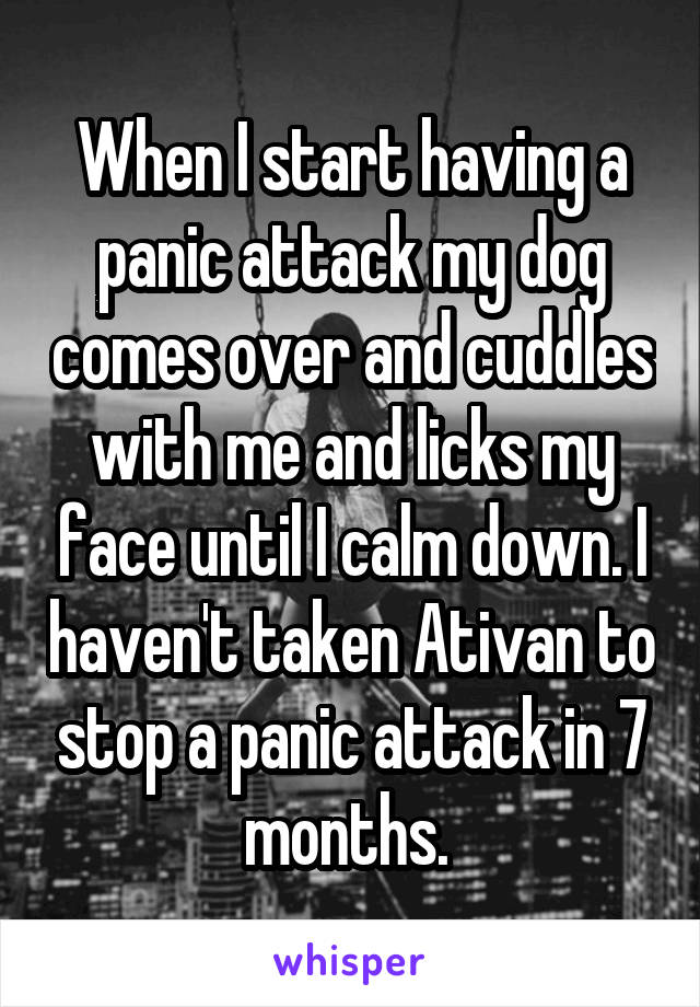 When I start having a panic attack my dog comes over and cuddles with me and licks my face until I calm down. I haven't taken Ativan to stop a panic attack in 7 months. 