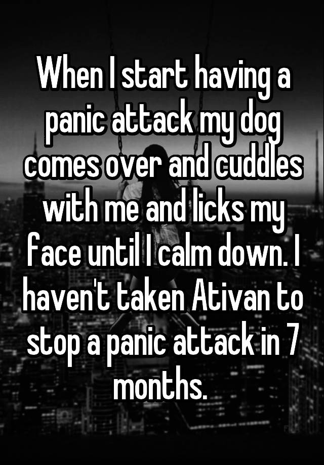 When I start having a panic attack my dog comes over and cuddles with me and licks my face until I calm down. I haven't taken Ativan to stop a panic attack in 7 months. 