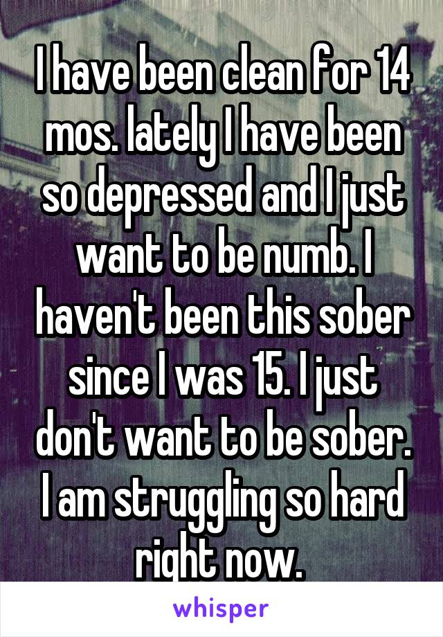 I have been clean for 14 mos. lately I have been so depressed and I just want to be numb. I haven't been this sober since I was 15. I just don't want to be sober. I am struggling so hard right now. 