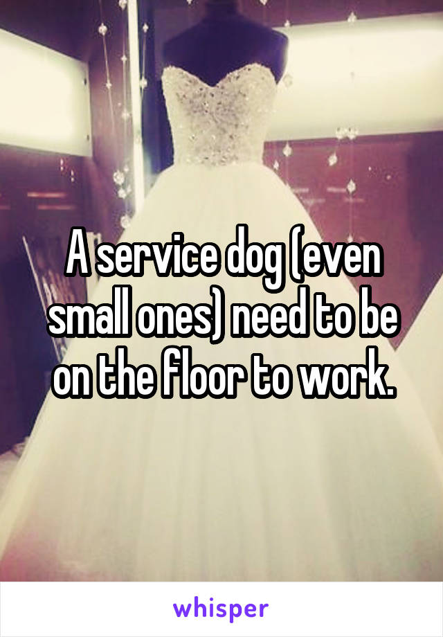 A service dog (even small ones) need to be on the floor to work.