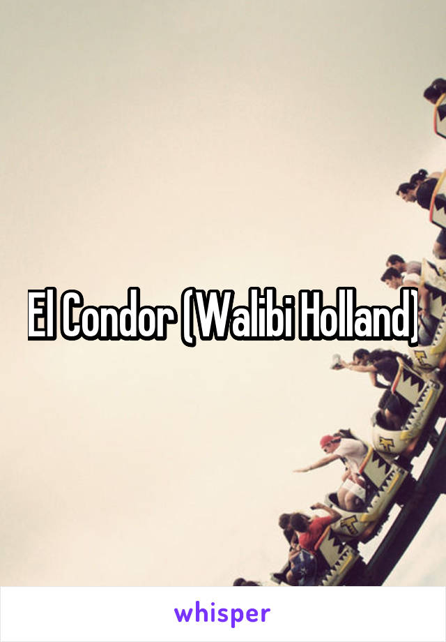 El Condor (Walibi Holland)