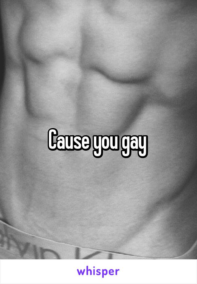 Cause you gay 