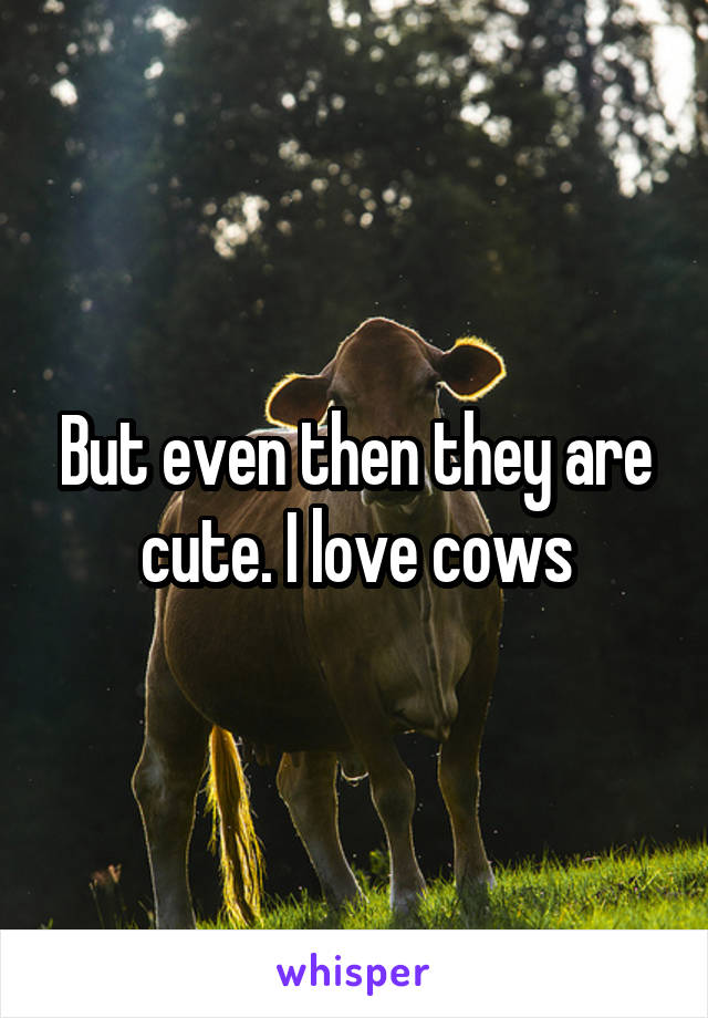 But even then they are cute. I love cows