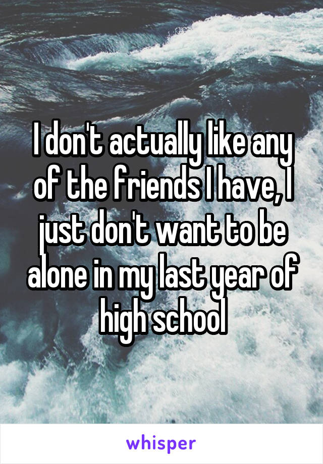 I don't actually like any of the friends I have, I just don't want to be alone in my last year of high school