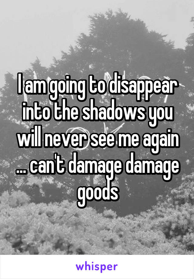 I am going to disappear into the shadows you will never see me again ... can't damage damage goods
