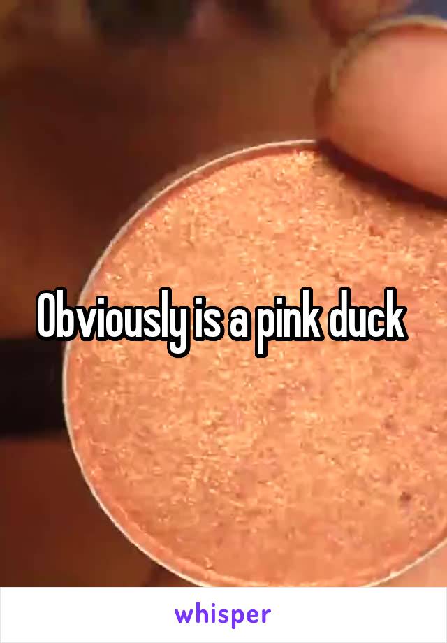 Obviously is a pink duck 