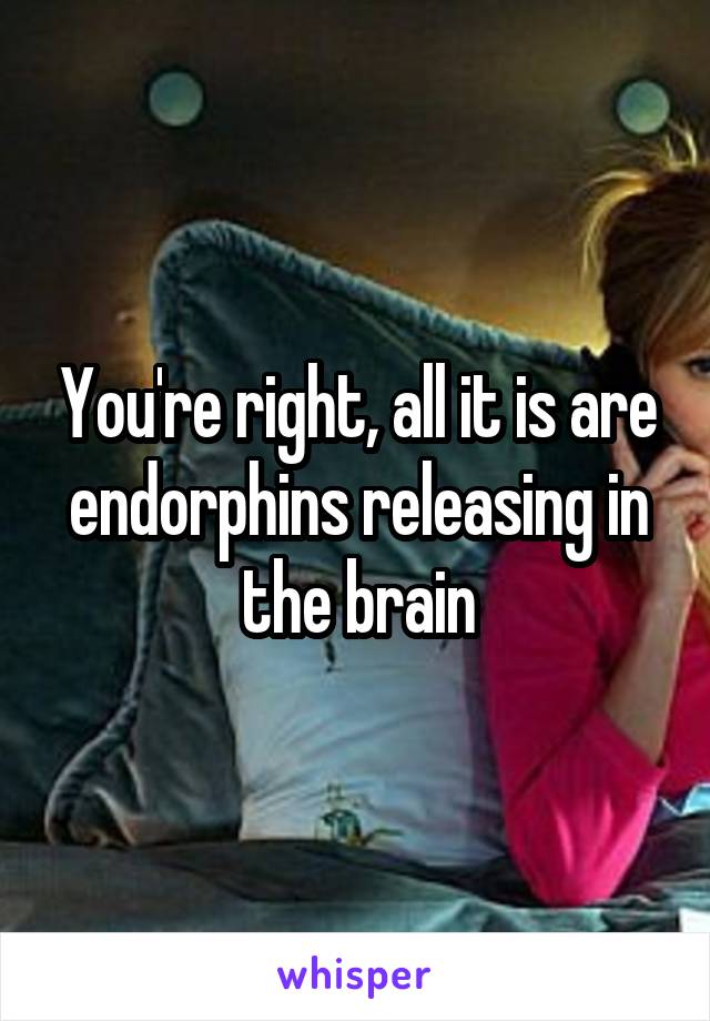 You're right, all it is are endorphins releasing in the brain