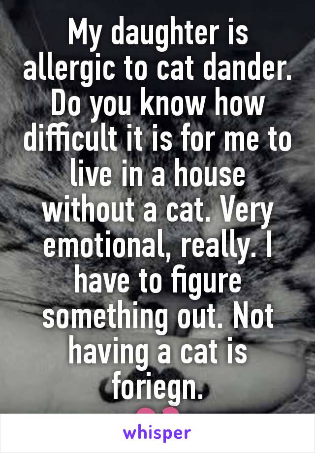My daughter is allergic to cat dander. Do you know how difficult it is for me to live in a house without a cat. Very emotional, really. I have to figure something out. Not having a cat is foriegn.
💔