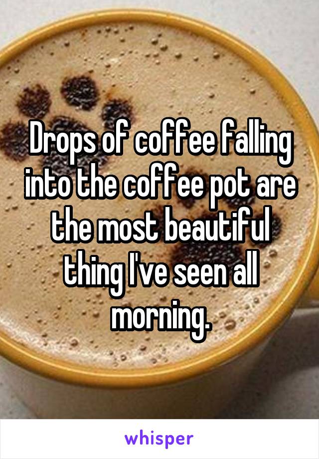 Drops of coffee falling into the coffee pot are the most beautiful thing I've seen all morning.