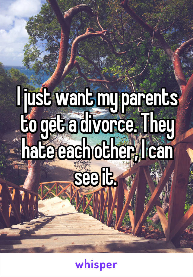 I just want my parents to get a divorce. They hate each other, I can see it. 