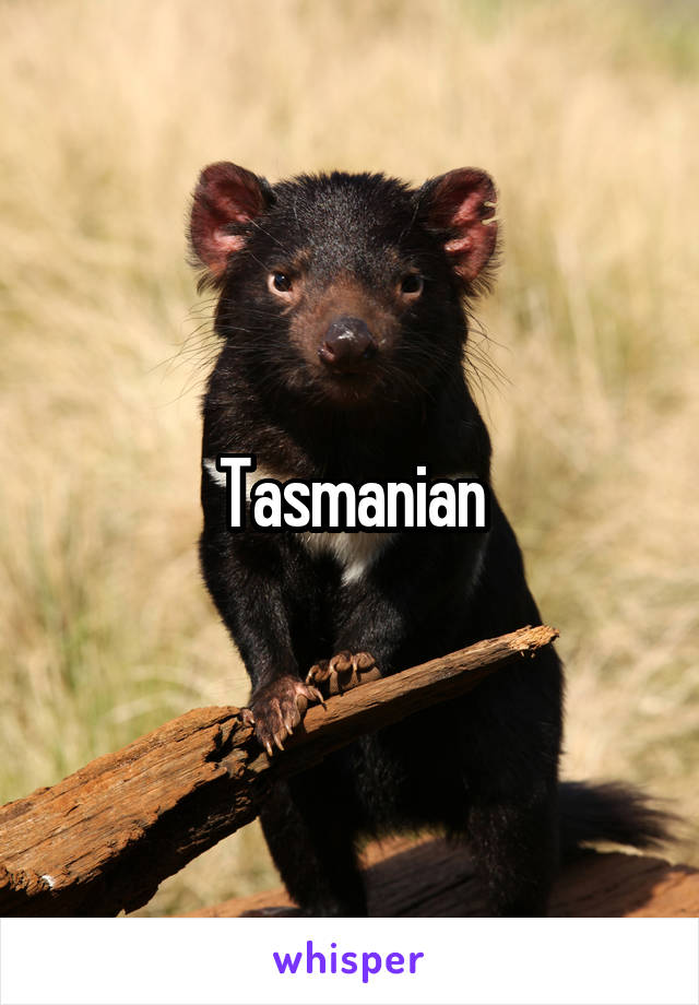 Tasmanian