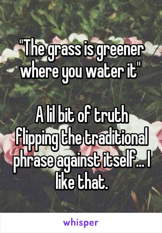 "The grass is greener where you water it" 

A lil bit of truth flipping the traditional phrase against itself... I like that.