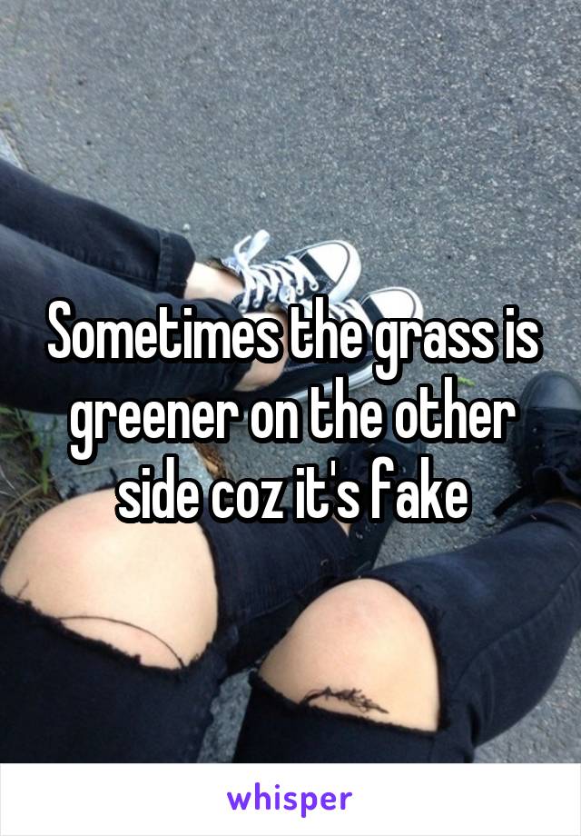 Sometimes the grass is greener on the other side coz it's fake