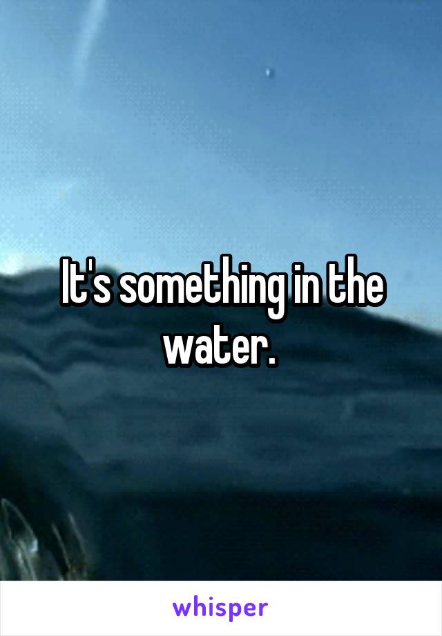 It's something in the water. 