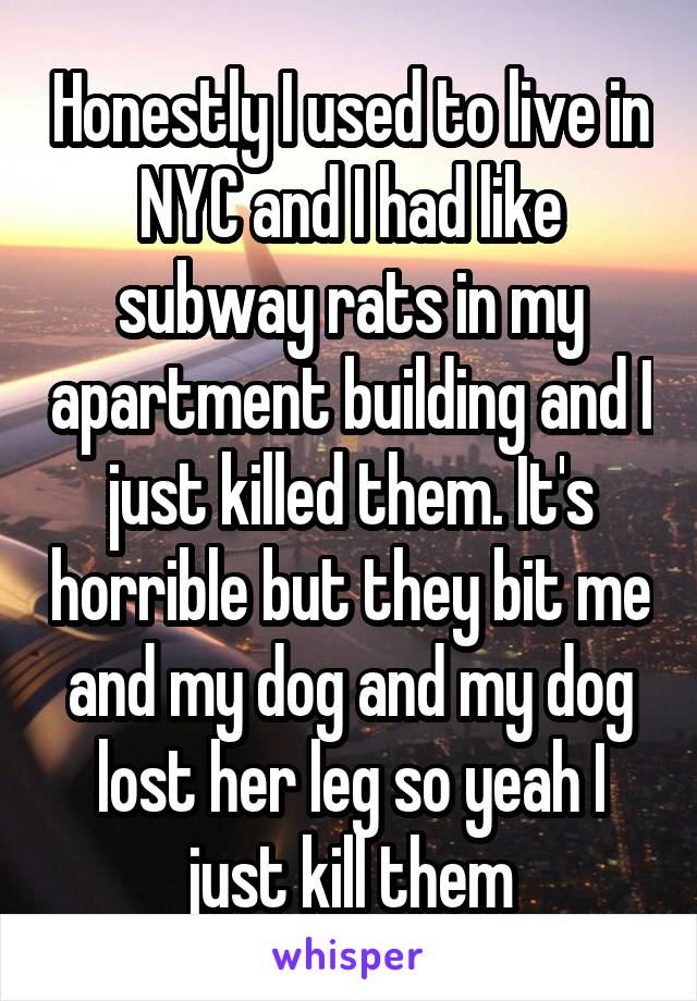 Honestly I used to live in NYC and I had like subway rats in my apartment building and I just killed them. It's horrible but they bit me and my dog and my dog lost her leg so yeah I just kill them