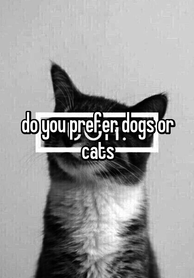 do-you-prefer-dogs-or-cats