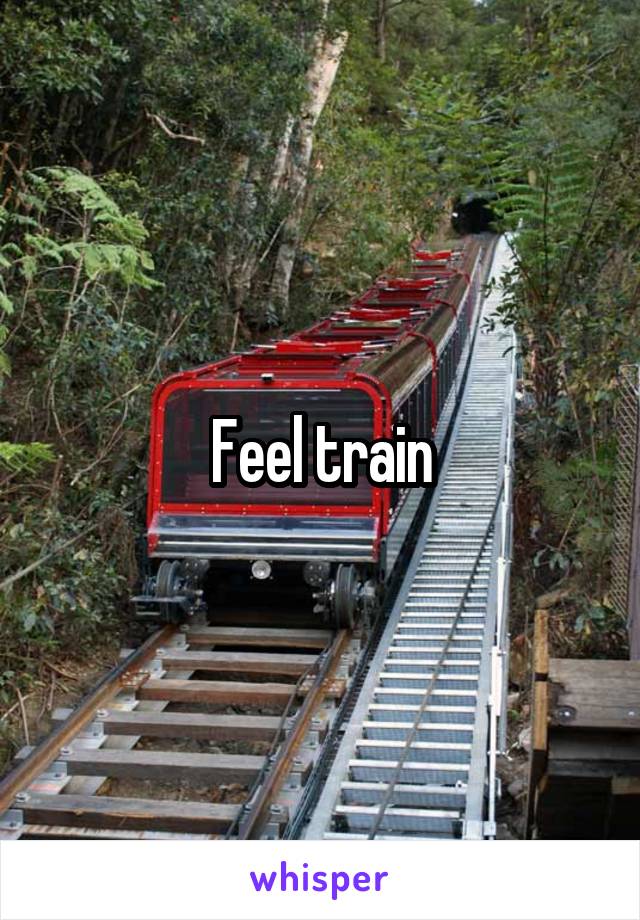 Feel train