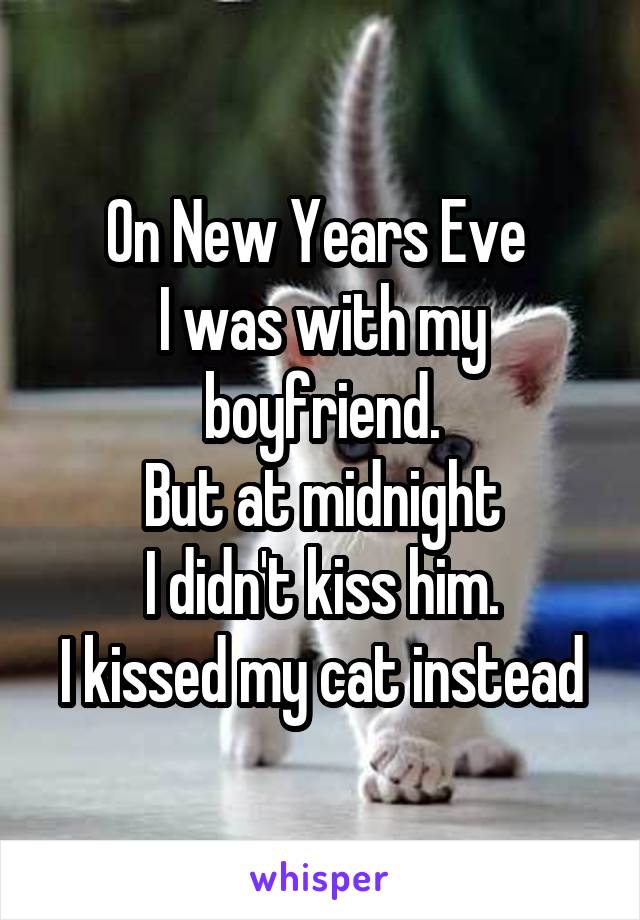 On New Years Eve 
I was with my boyfriend.
But at midnight
I didn't kiss him.
I kissed my cat instead