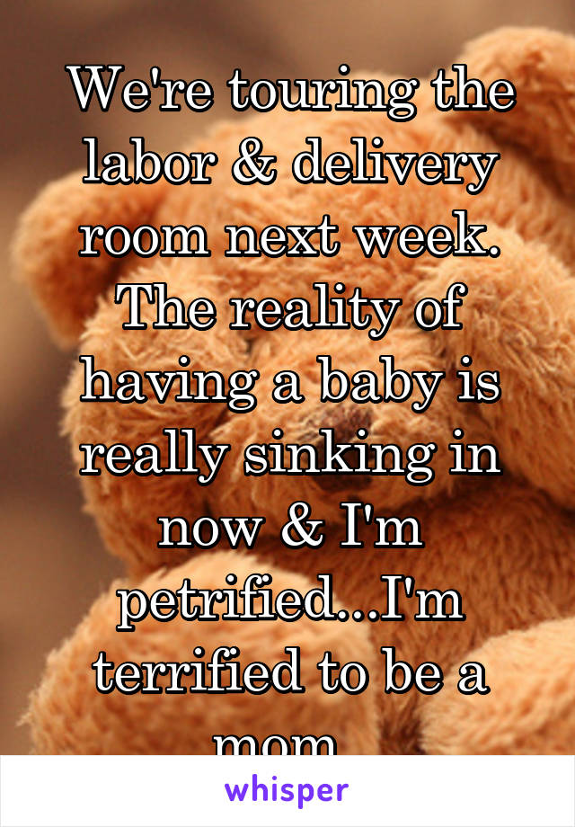 We're touring the labor & delivery room next week. The reality of having a baby is really sinking in now & I'm petrified...I'm terrified to be a mom..