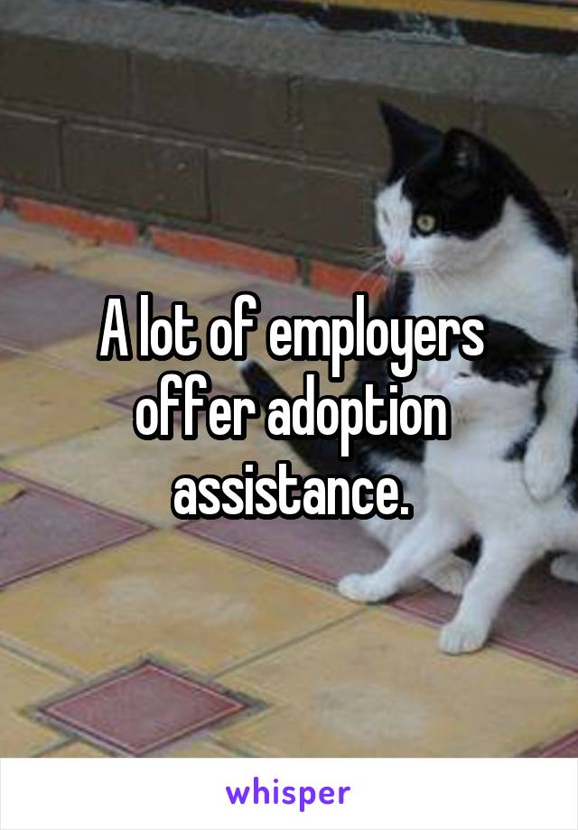 A lot of employers offer adoption assistance.