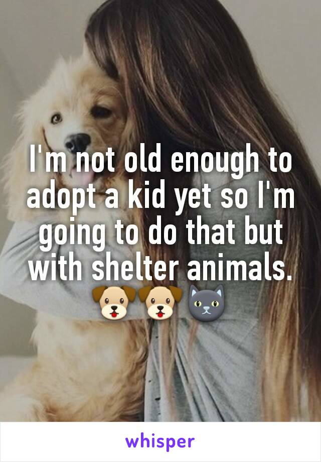 I'm not old enough to adopt a kid yet so I'm going to do that but with shelter animals. 🐶🐶🐱