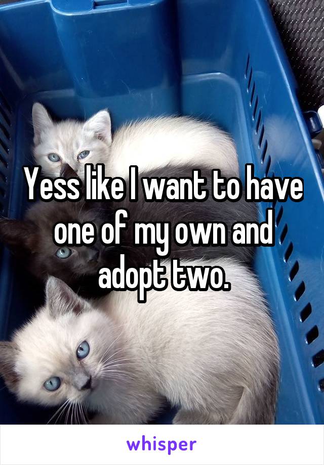 Yess like I want to have one of my own and adopt two.