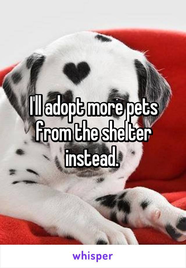 I'll adopt more pets from the shelter instead. 