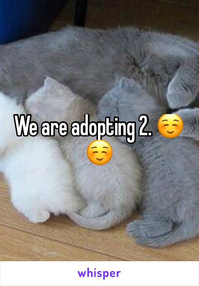 We are adopting 2. ☺☺