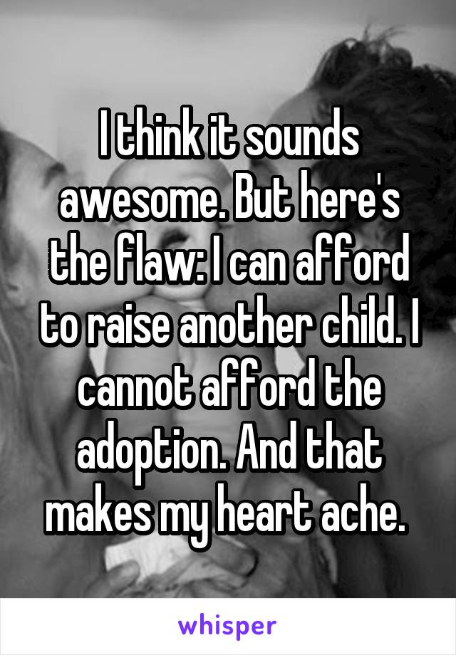 I think it sounds awesome. But here's the flaw: I can afford to raise another child. I cannot afford the adoption. And that makes my heart ache. 