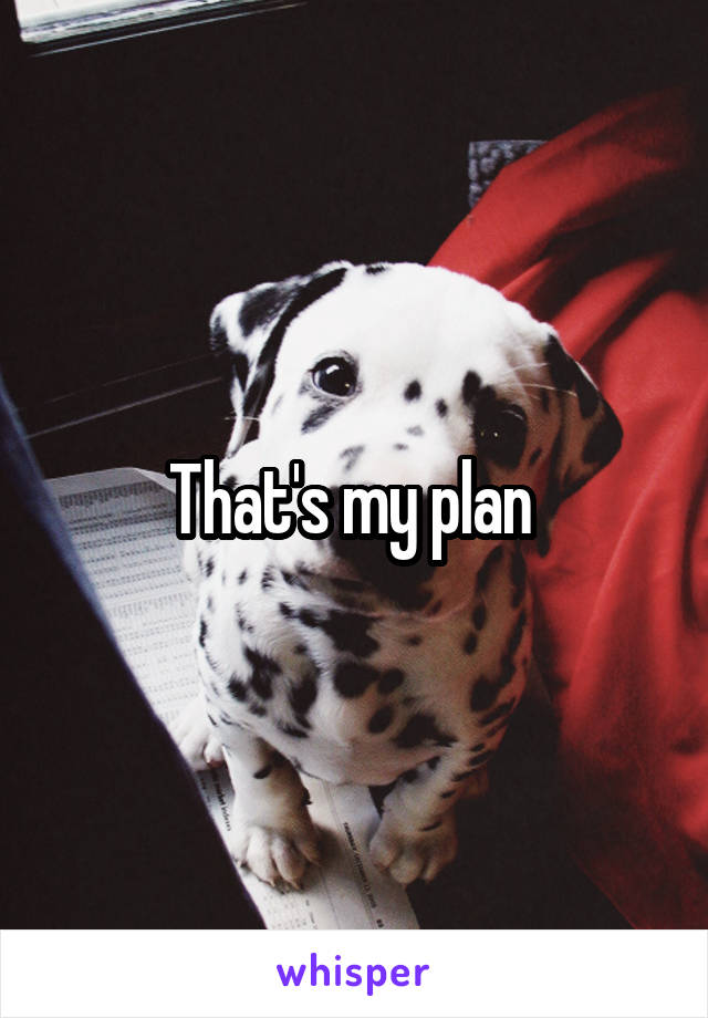 That's my plan 