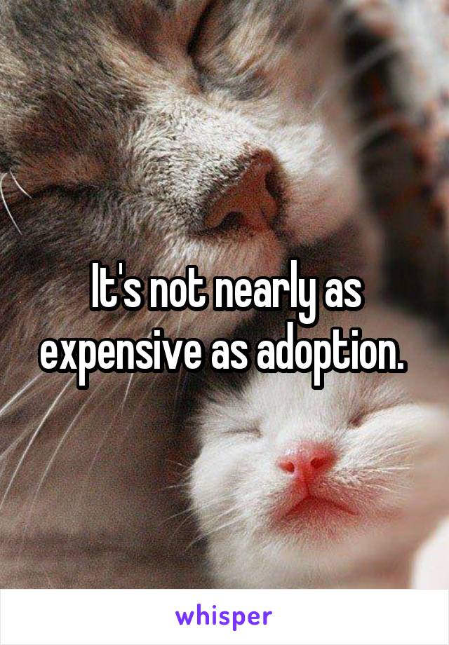 It's not nearly as expensive as adoption. 