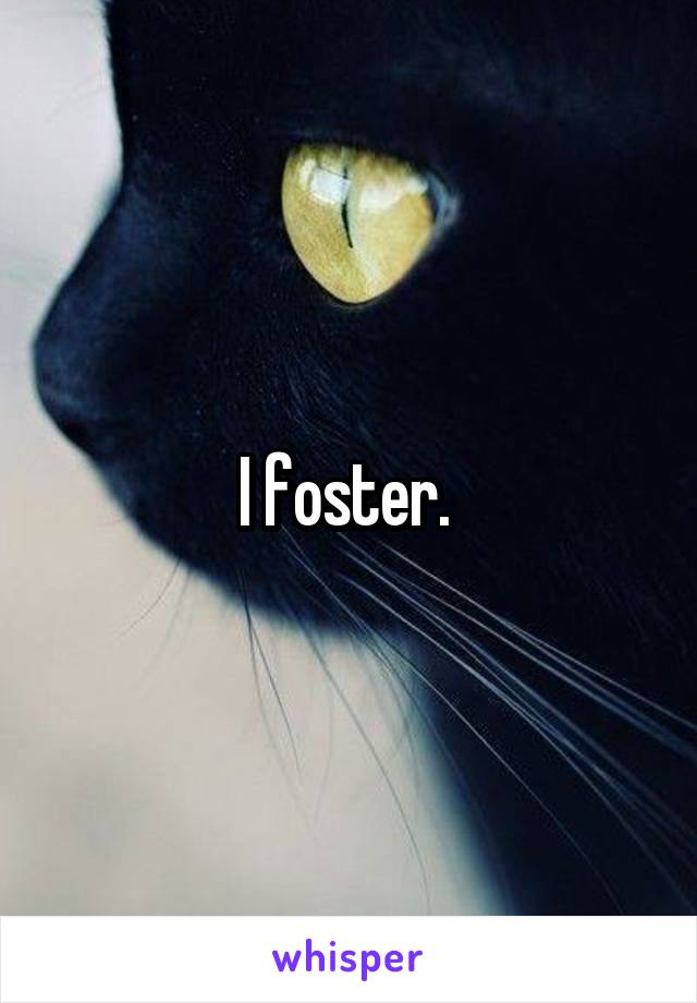 I foster. 