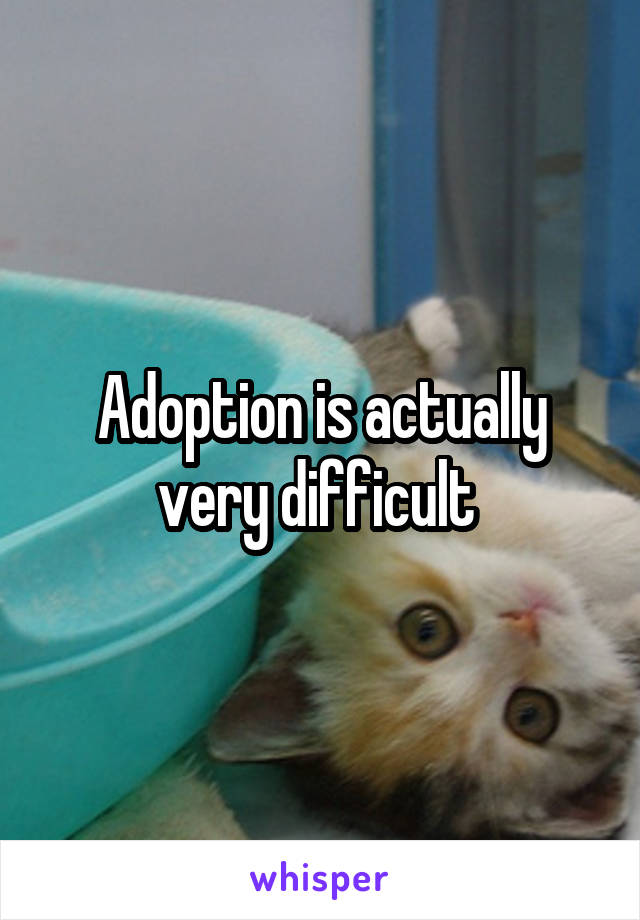 Adoption is actually very difficult 