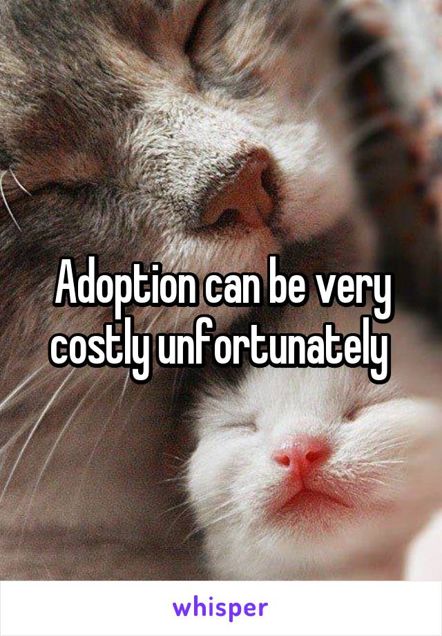 Adoption can be very costly unfortunately 